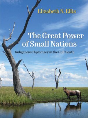 cover image of The Great Power of Small Nations